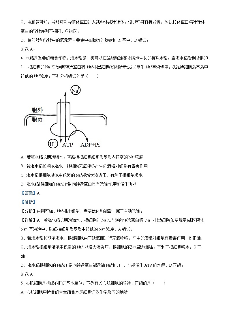安徽省皖南八校2023-2024学年高三生物上学期10月第一次联考试题（Word版附解析）第3页