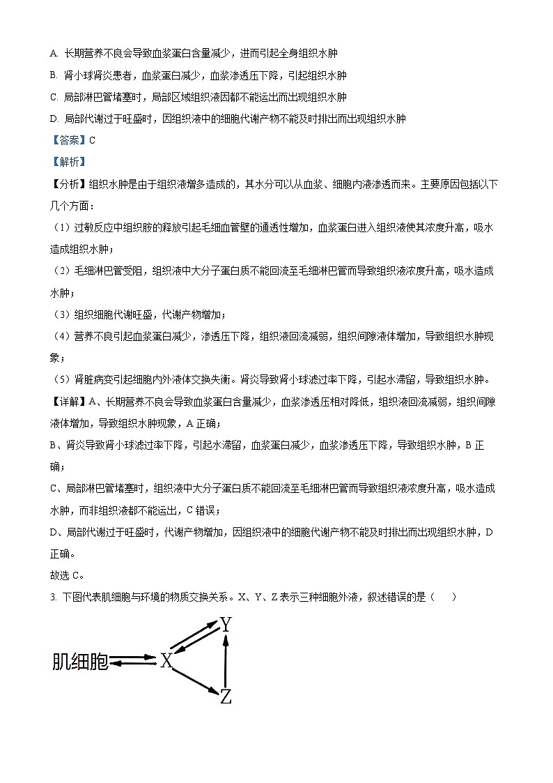 湖北省武汉市四十九中2023-2024学年高二生物上学期10月月考试题（Word版附解析）第2页