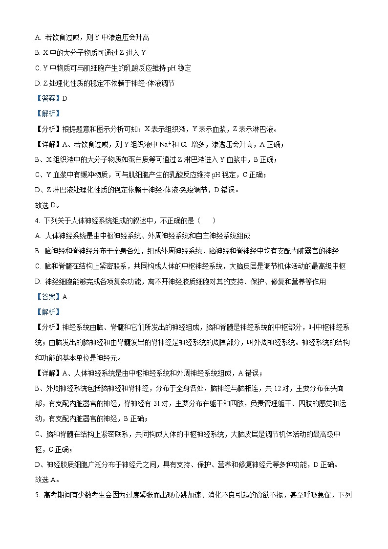 湖北省武汉市四十九中2023-2024学年高二生物上学期10月月考试题（Word版附解析）第3页