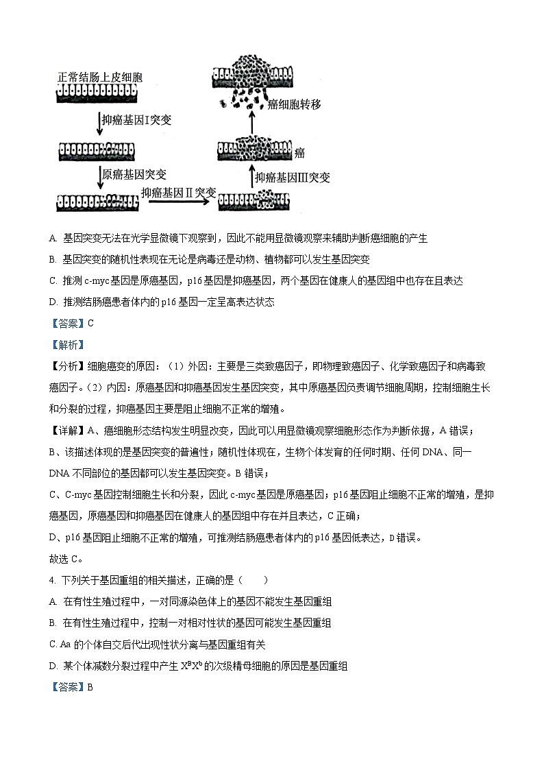 湖北省云学新高考联盟学校2023-2024学年高二生物上学期10月联考试题（Word版附解析）第3页