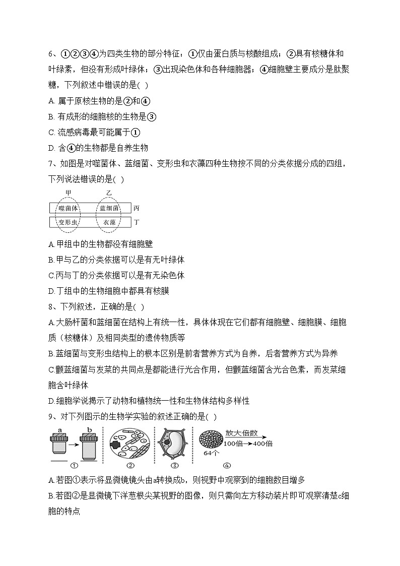 天津市武清区天和城实验中学2023-2024学年高一上学期第一次形成性检测生物试卷(含答案)第2页