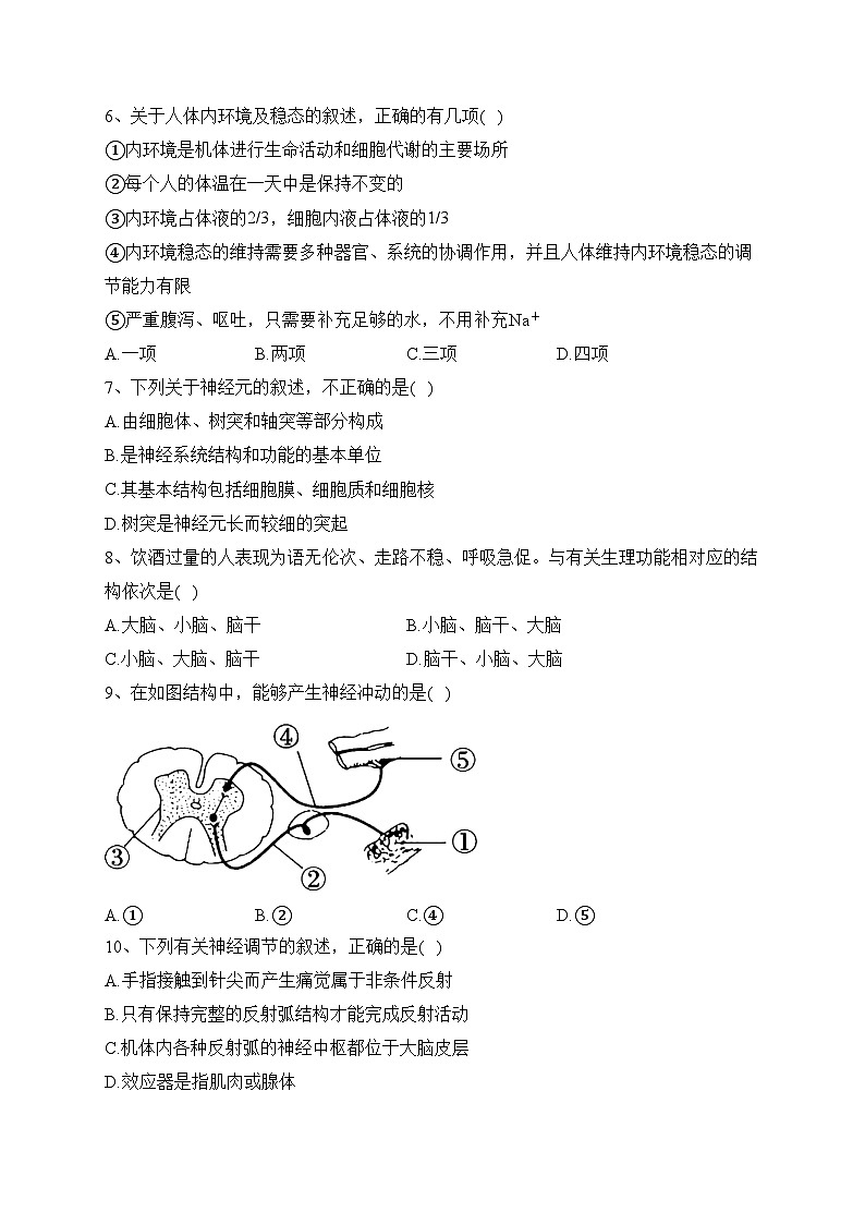 天津市武清区天和城实验中学2023-2024学年高二上学期第一次形成性检测生物试卷(含答案)02