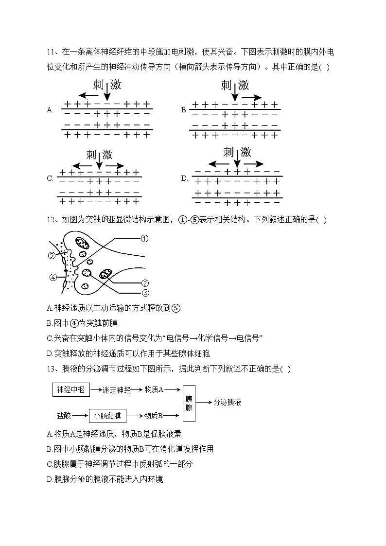 天津市武清区天和城实验中学2023-2024学年高二上学期第一次形成性检测生物试卷(含答案)03