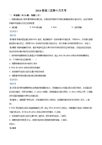 浙江省金华市一中学2023-2024学年高三生物上学期10月月考试题（Word版附解析）