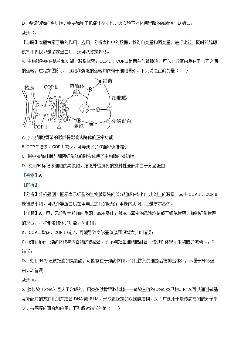 浙江省金华市一中学2023-2024学年高三生物上学期10月月考试题（Word版附解析）03