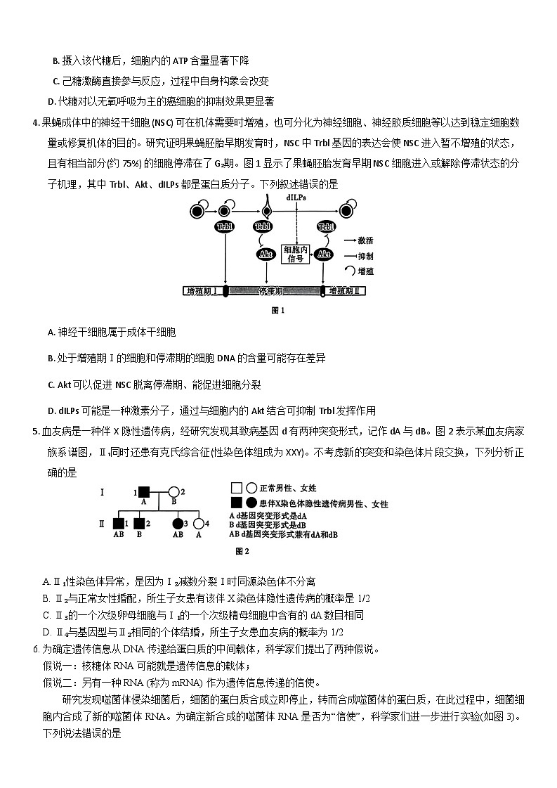 重庆市第八中学2023-2024学年高三上学期高考适应性月考（二）生物第2页