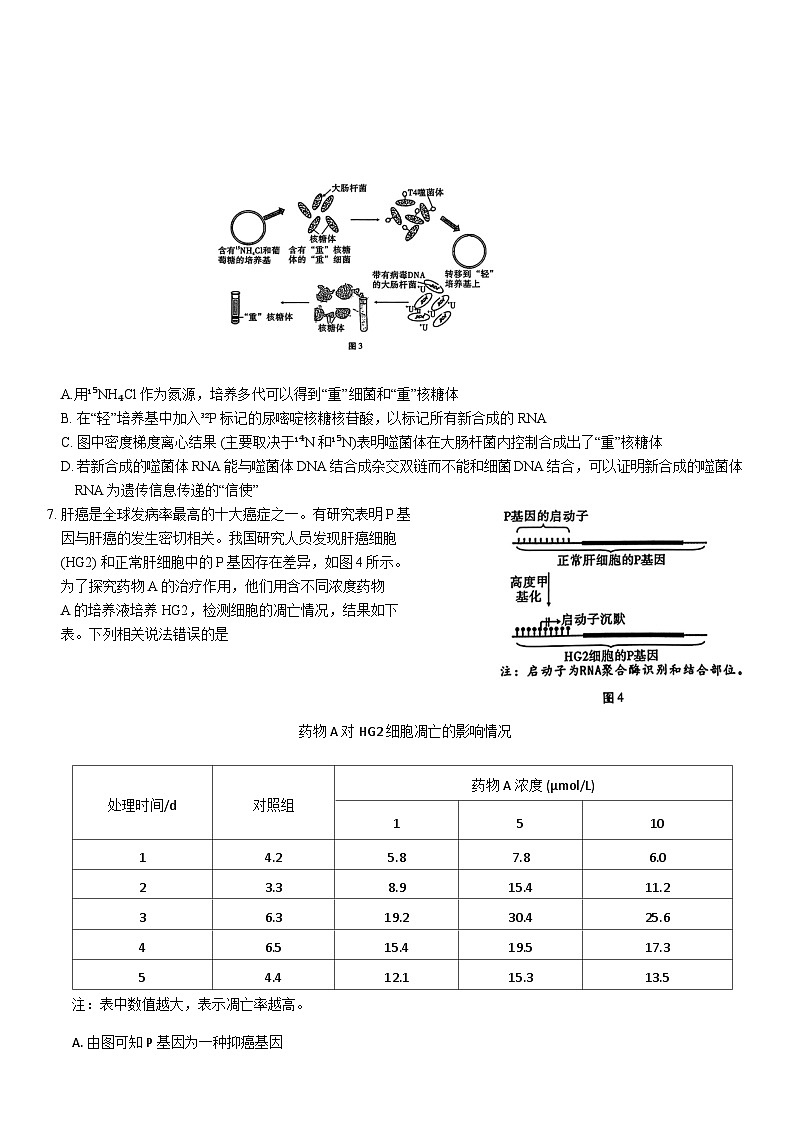 重庆市第八中学2023-2024学年高三上学期高考适应性月考（二）生物第3页