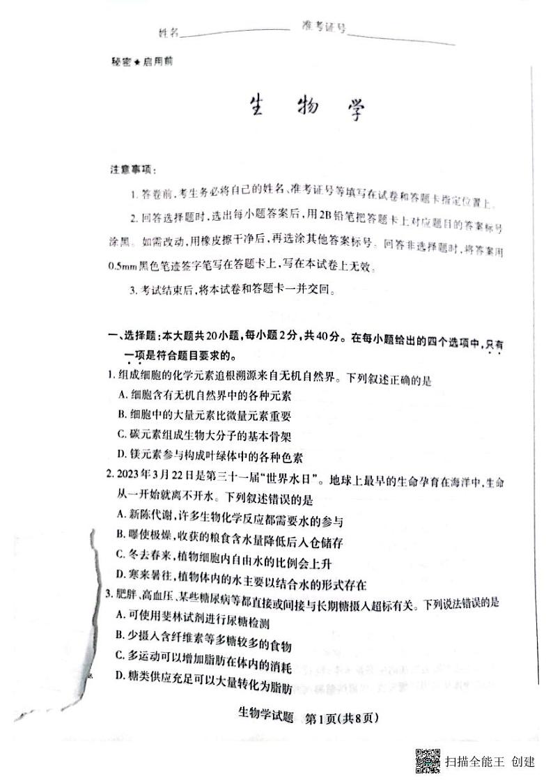 2024大同高三上学期第二次摸底考试生物PDF版含答案01
