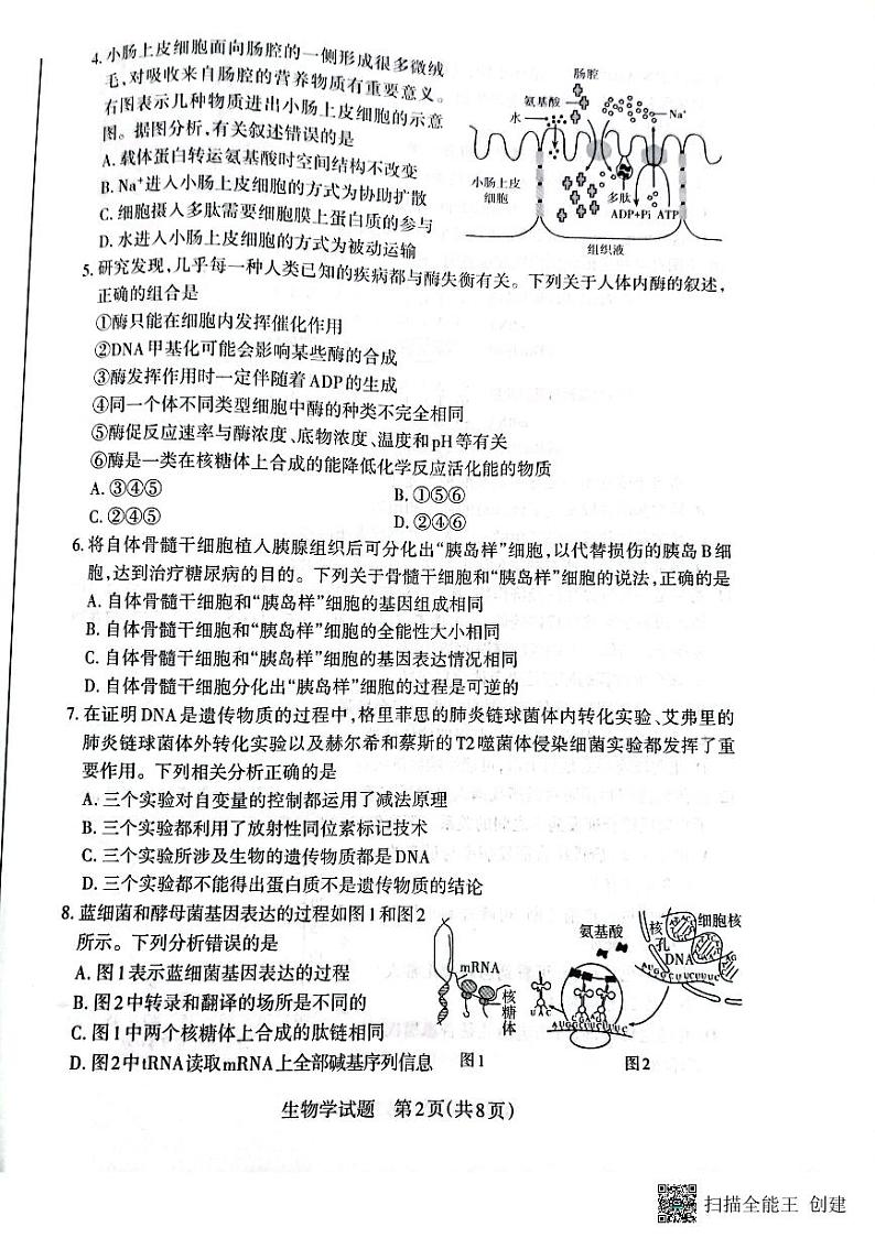 2024大同高三上学期第二次摸底考试生物PDF版含答案02