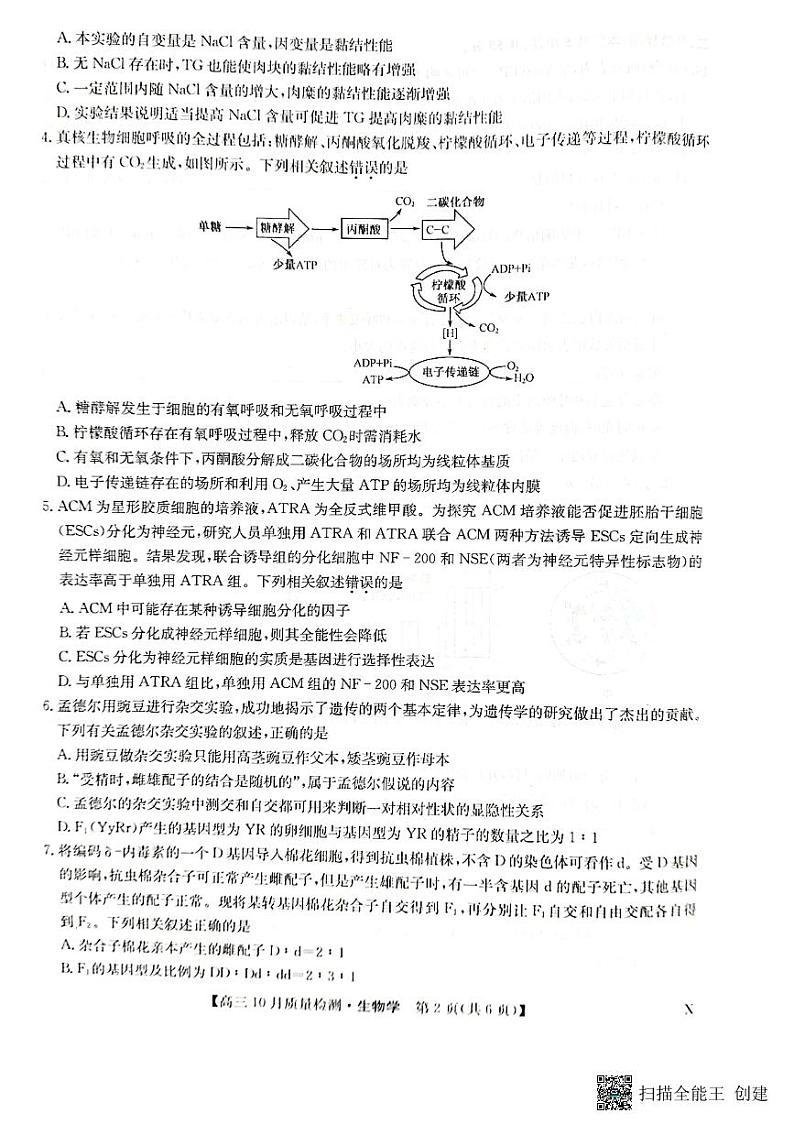 2024河南省九师联盟高三上学期第二次联考生物PDF版含答案 试卷02