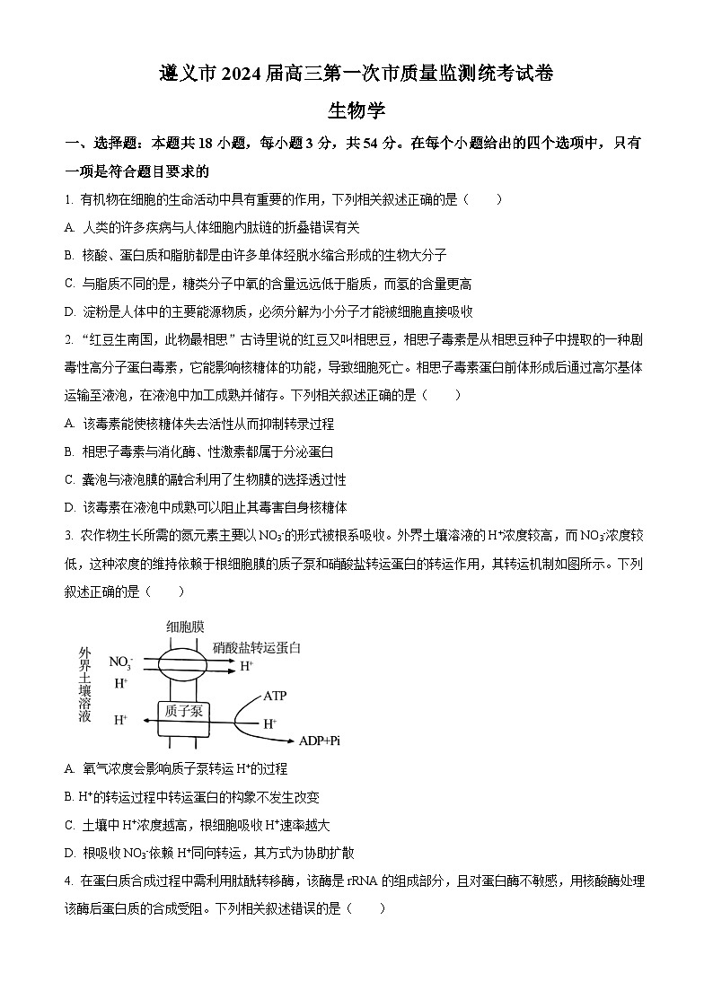 2024遵义高三上学期第一次质量监测生物含解析01