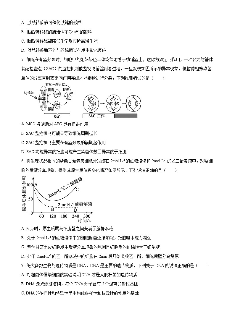 2024遵义高三上学期第一次质量监测生物含解析02