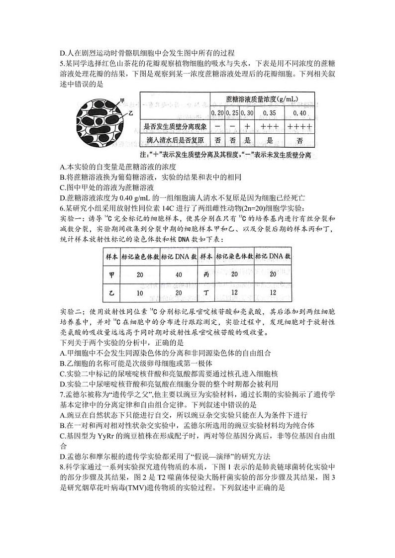 湖南省炎德英才名校联合体2024届高三生物上学期第三次联考试题（PDF版附解析）02