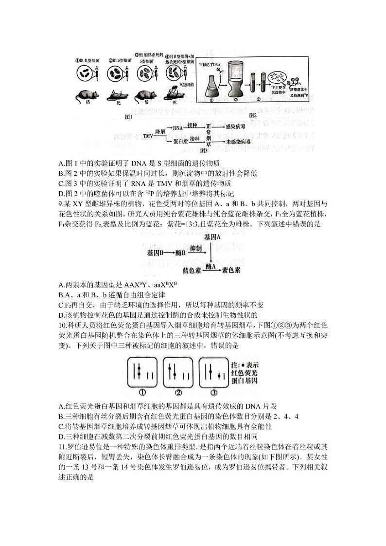 湖南省炎德英才名校联合体2024届高三生物上学期第三次联考试题（PDF版附解析）03