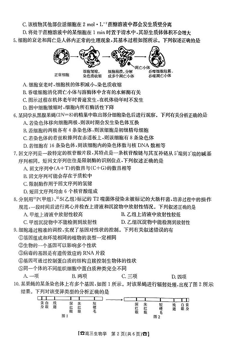 湖南省2024届高三生物上学期10月联考试题（PDF版附答案）02