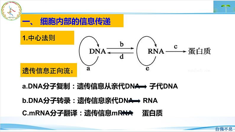 2023届高三生物二轮复习课件生物学的信息传递类型第5页