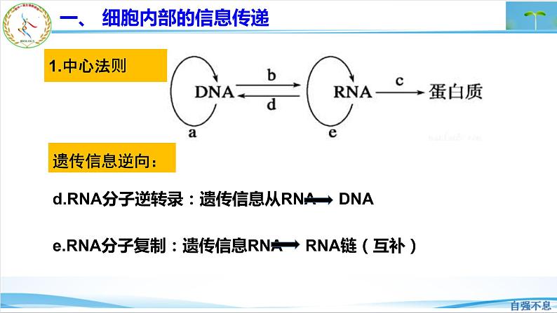 2023届高三生物二轮复习课件生物学的信息传递类型第6页