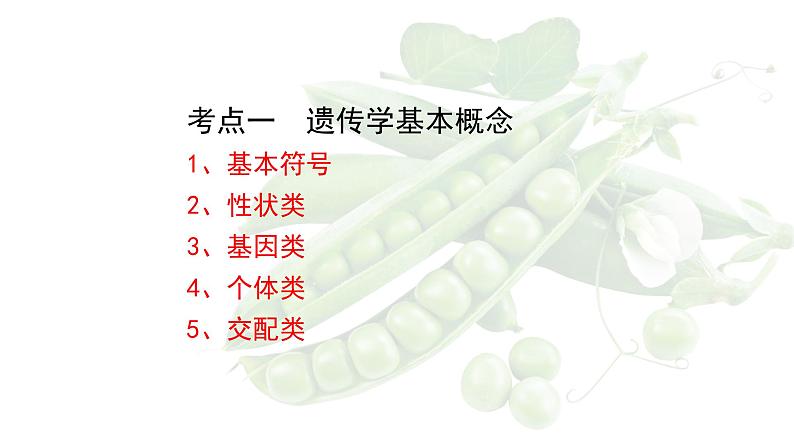 2023届高三生物一轮复习课件1.1.1孟德尔的豌豆杂交实验(一)第5页