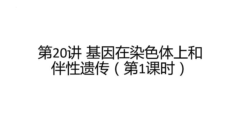 2023届高三生物一轮复习课件第20讲  基因在染色体上和伴性遗传第1页