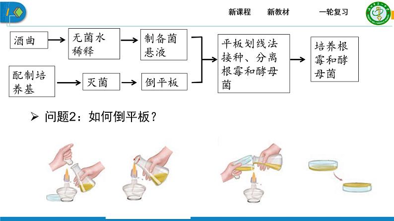 2023届高三生物一轮复习课件发酵工程第一课时第6页