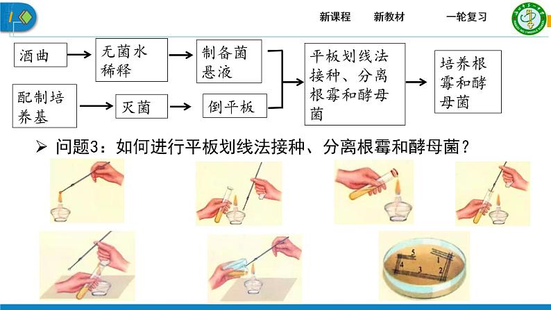 2023届高三生物一轮复习课件发酵工程第一课时第7页