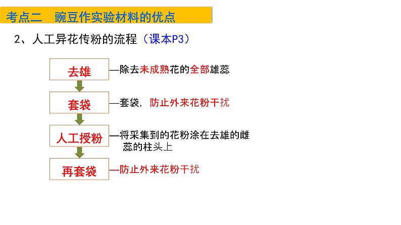 2023届高三生物一轮复习课件孟德尔的豌豆杂交实验(一)第6页