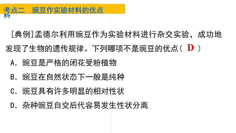 2023届高三生物一轮复习课件孟德尔的豌豆杂交实验(一)第8页