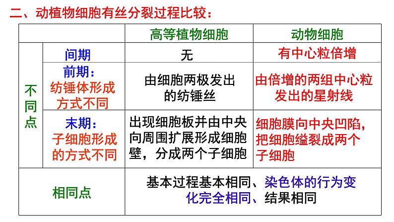2023届高三生物一轮复习课件细胞的增殖第1课时第5页