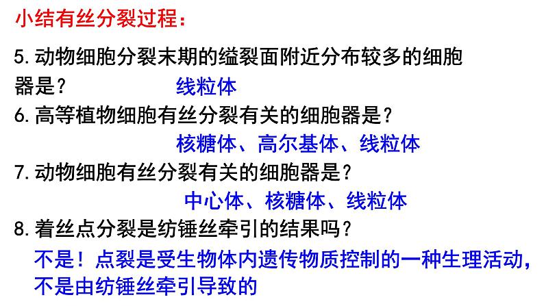 2023届高三生物一轮复习课件细胞的增殖第1课时第8页
