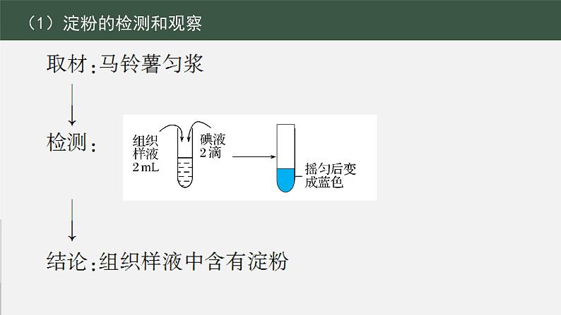 2023届高三生物一轮复习课件脂肪、糖类与蛋白质实鉴定第5页