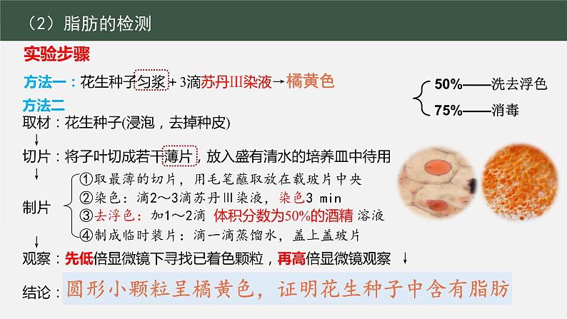 2023届高三生物一轮复习课件脂肪、糖类与蛋白质实鉴定第7页