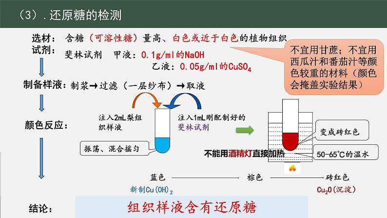 2023届高三生物一轮复习课件脂肪、糖类与蛋白质实鉴定第8页