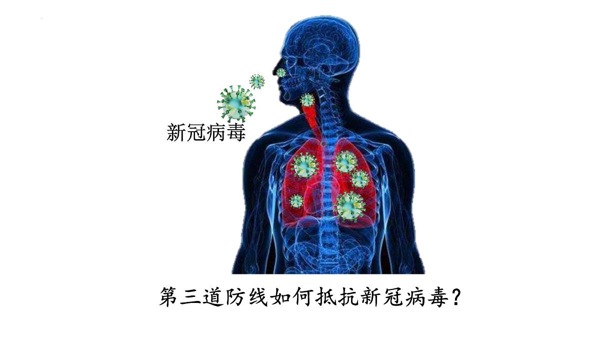 2023届高三生物一轮复习特异性免疫课件第1页