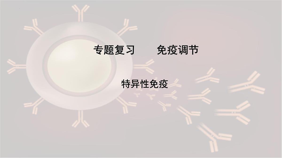 2023届高三生物一轮复习特异性免疫课件第2页
