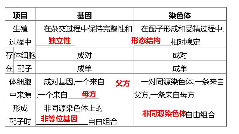 2024届高三生物二轮复习课件遗传规律应用(基因在染色体上和伴性遗传）第4页