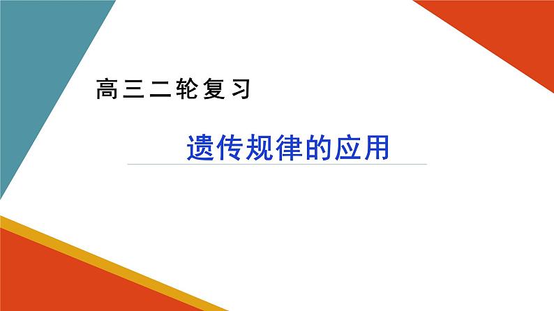 2024届高三生物二轮复习课件遗传规律应用（人类遗传病和遗传规律的综合及遗传实验设计）第1页