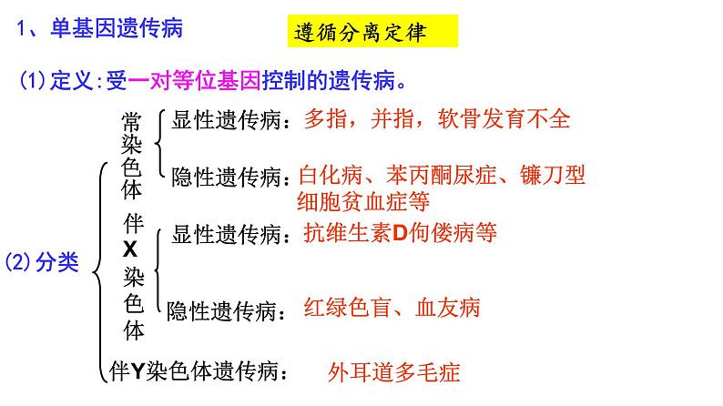 2024届高三生物二轮复习课件遗传规律应用（人类遗传病和遗传规律的综合及遗传实验设计）第4页