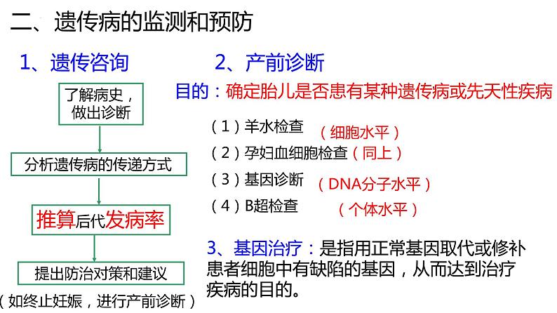 2024届高三生物二轮复习课件遗传规律应用（人类遗传病和遗传规律的综合及遗传实验设计）第7页