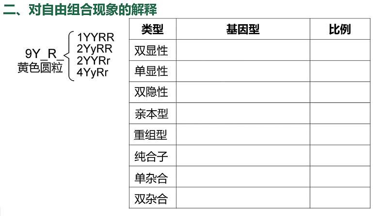 2024届高三生物一轮复习课件第15讲孟德尔的豌豆杂交实验（二）第8页