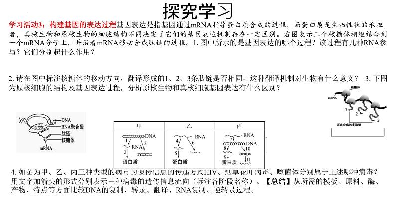 2024届高三生物一轮复习课件基因的表达第2页