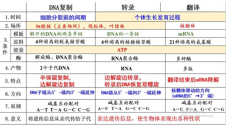 2024届高三生物一轮复习课件基因的表达第4页