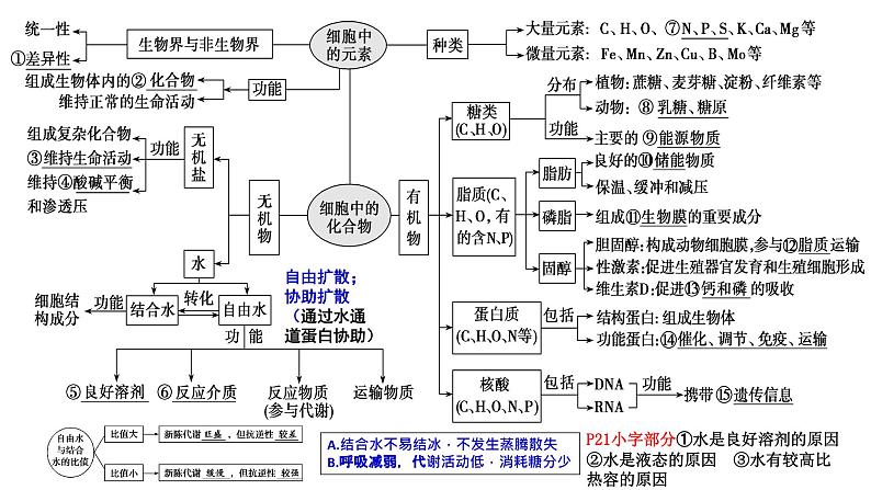 2024届高三生物一轮复习课件基因突变和基因重组第1页