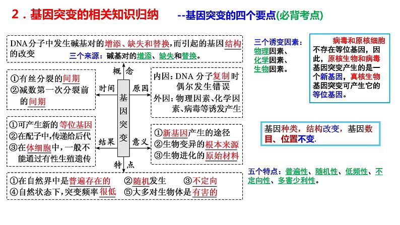 2024届高三生物一轮复习课件基因突变和基因重组第3页