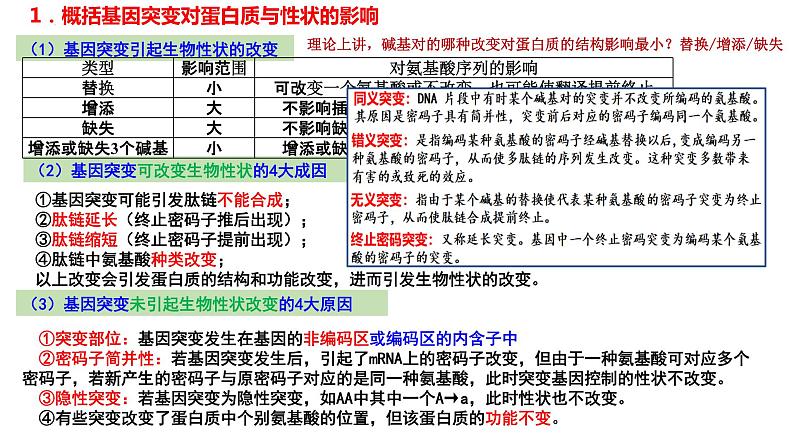 2024届高三生物一轮复习课件基因突变和基因重组第6页