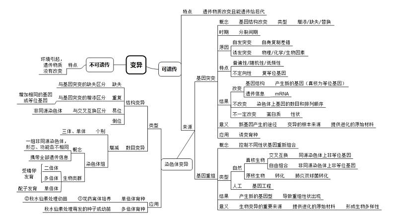 2024届高三生物一轮复习课件染色体变异第1页