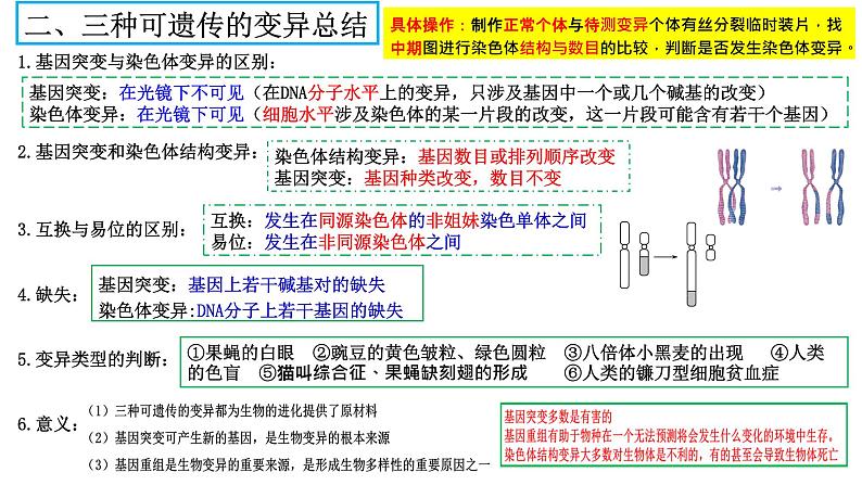 2024届高三生物一轮复习课件染色体变异第4页