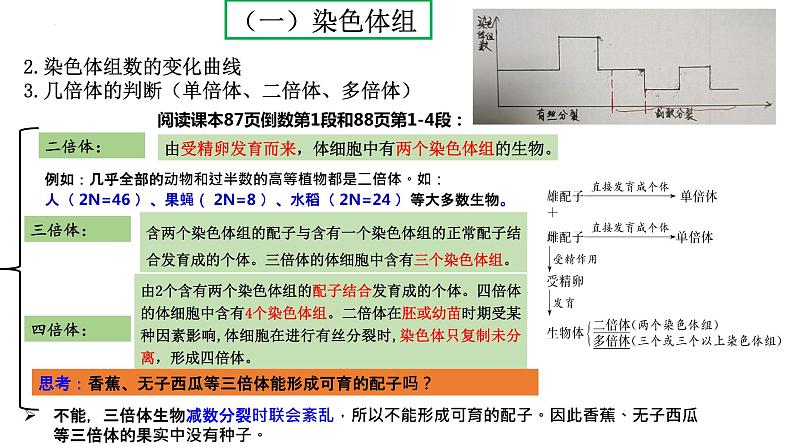 2024届高三生物一轮复习课件染色体变异第7页