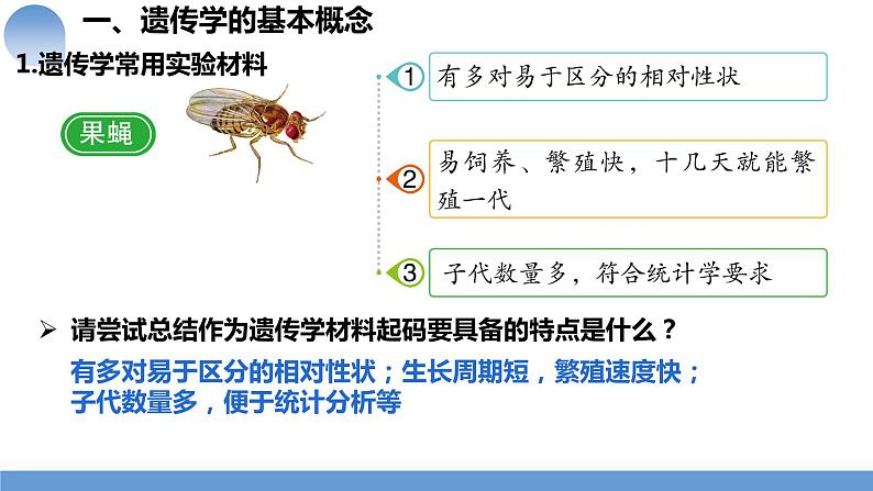 2024届高三一轮复习生物：第14讲 孟德尔的豌豆杂交实验（一）课件第4页