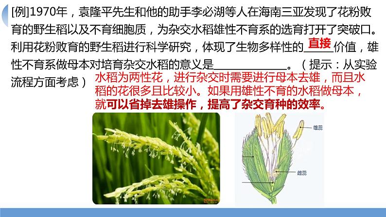 2024届高三一轮复习生物：第14讲 孟德尔的豌豆杂交实验（一）课件第7页