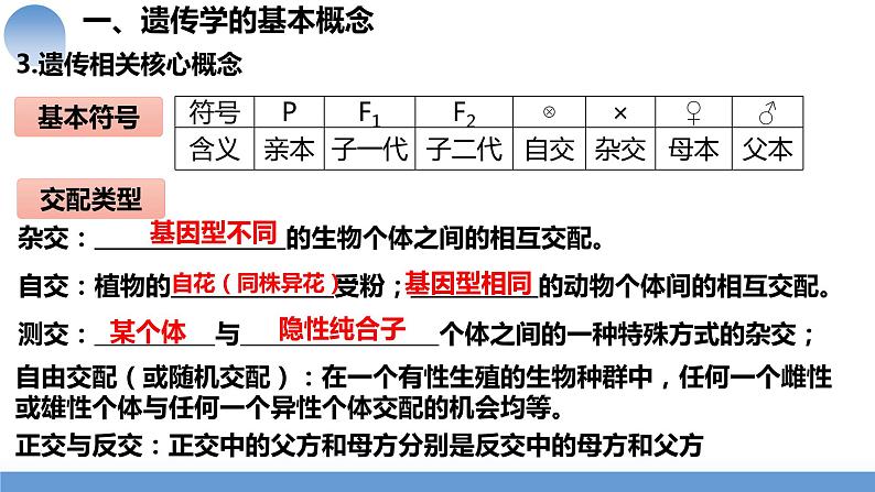 2024届高三一轮复习生物：第14讲 孟德尔的豌豆杂交实验（一）课件第8页